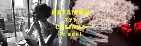 шишки Аркадак