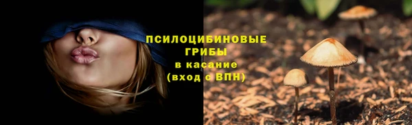 первитин Армянск