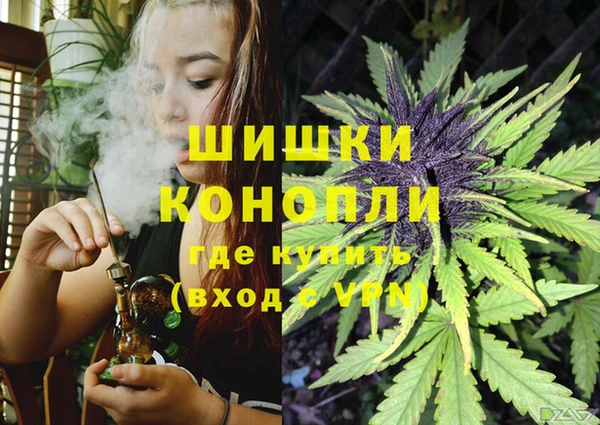 шишки Аркадак