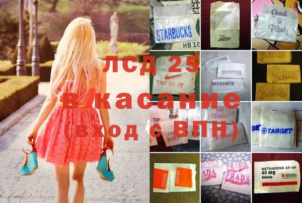 шишки Аркадак