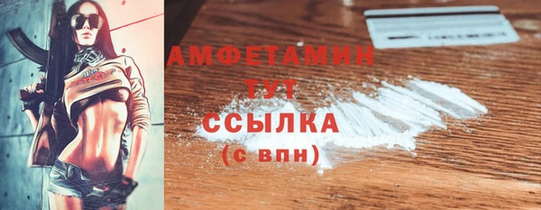 шишки Аркадак