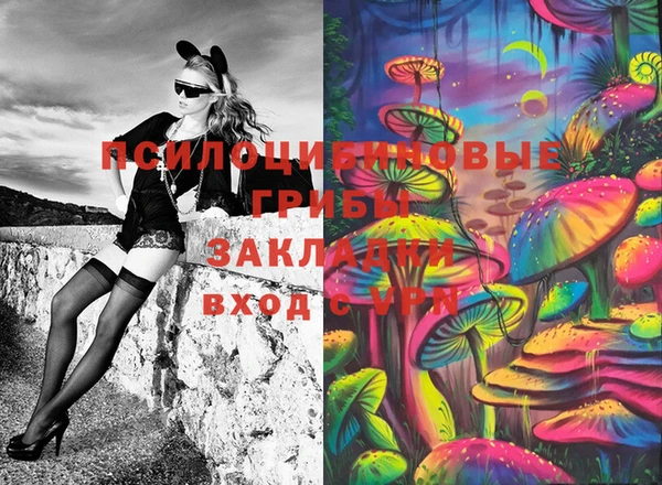 шишки Аркадак